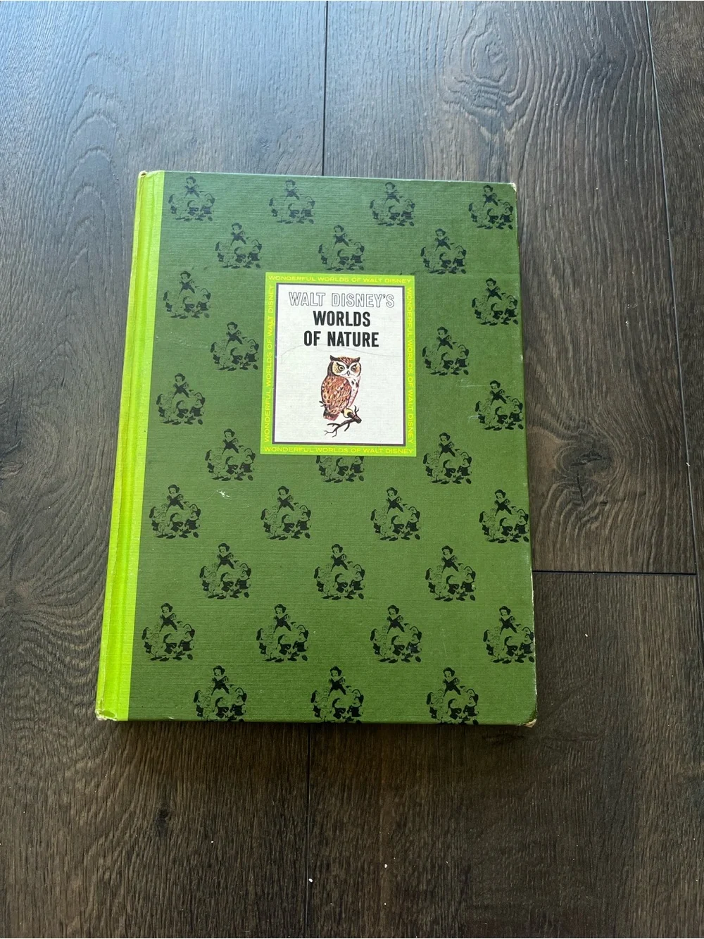 Vintage 1965 The Wonderful Worlds of Walt Disney Children's Book Set